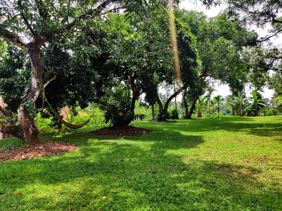 Carmel Tourism Village Kotamangalam 外观 照片