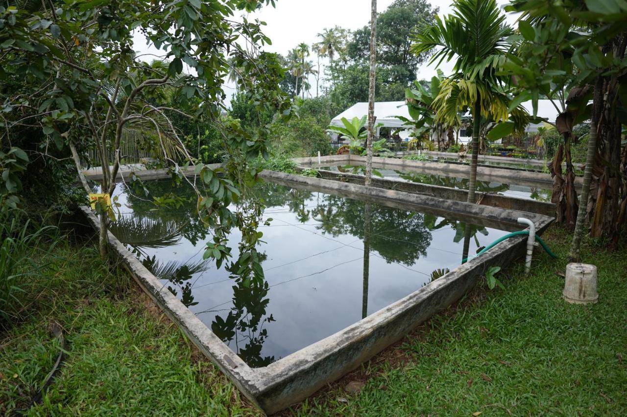 Carmel Tourism Village Kotamangalam 外观 照片
