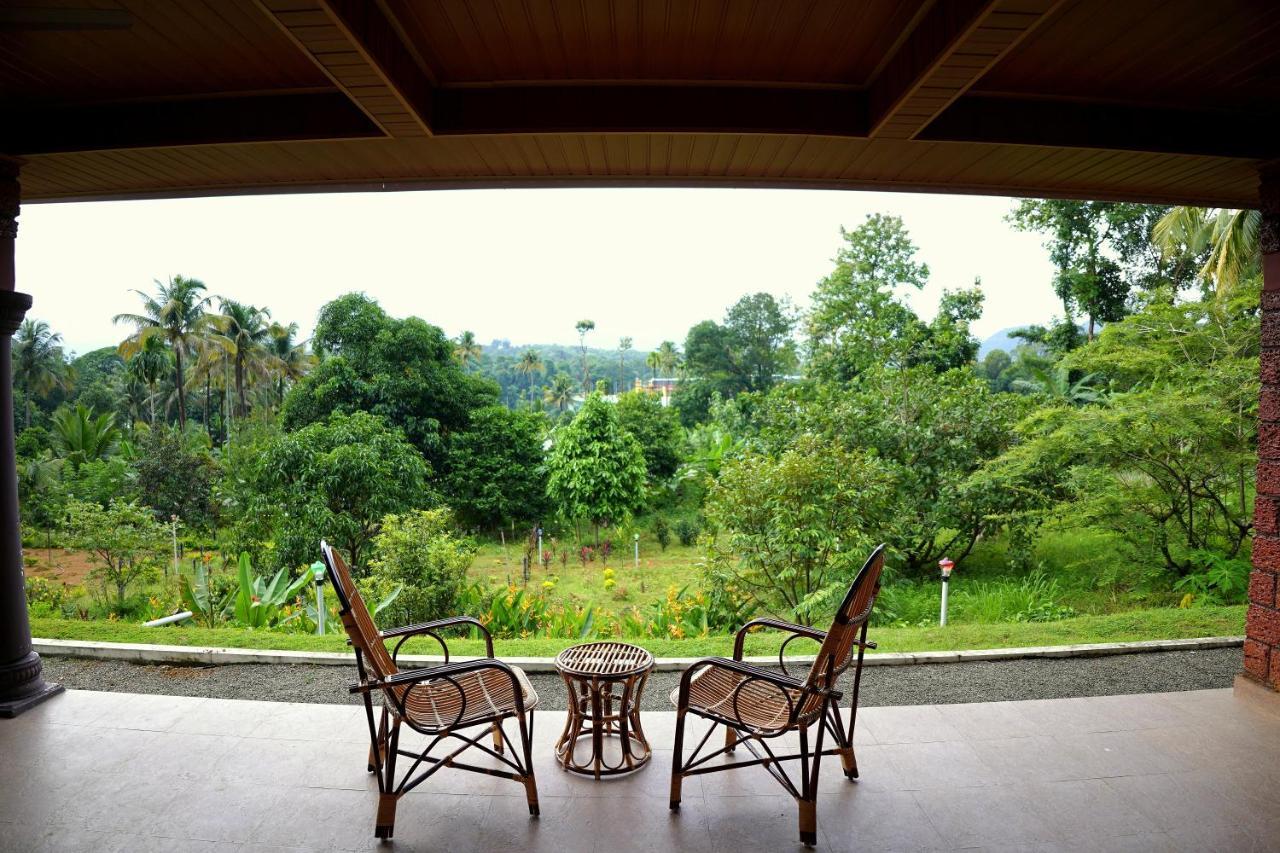 Carmel Tourism Village Kotamangalam 外观 照片